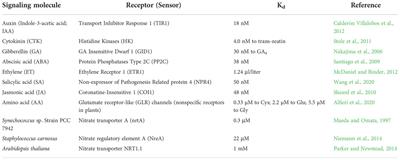 Whether do plant cells sense nitrate changes without a sensor?